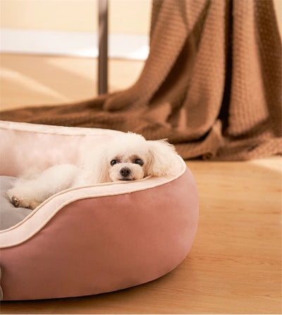 Cute Bone Pet Bed