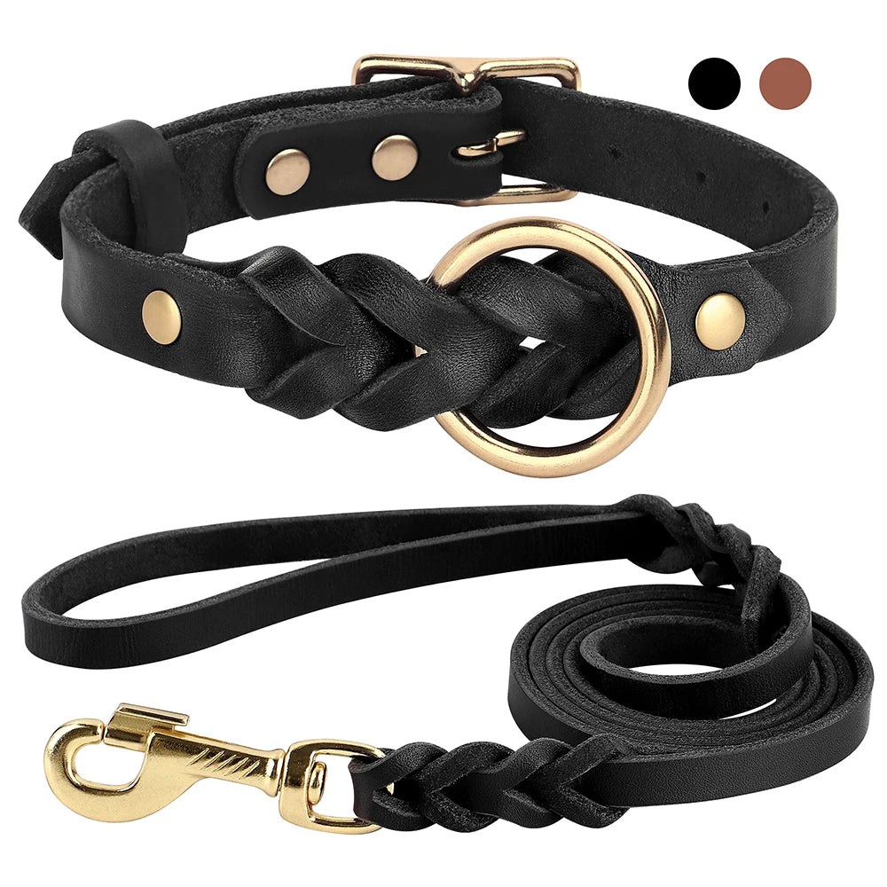 Ensemble collier et laisse pour chien en cuir tressé réglable et souple