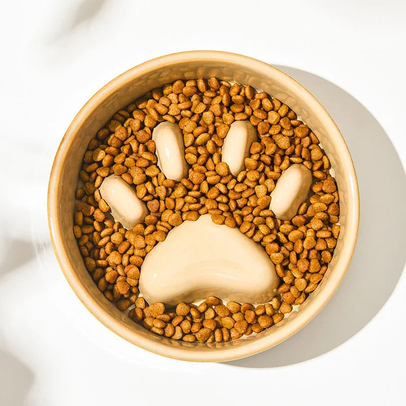 Paw Slow Food Ceramic Food Bowl for Dogs