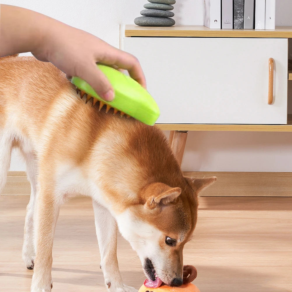 Sérum capillaire sans essence pour lavage à la brosse à vapeur pour animaux de compagnie