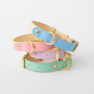 Candy collection Leather Pet Collar & Leash Set