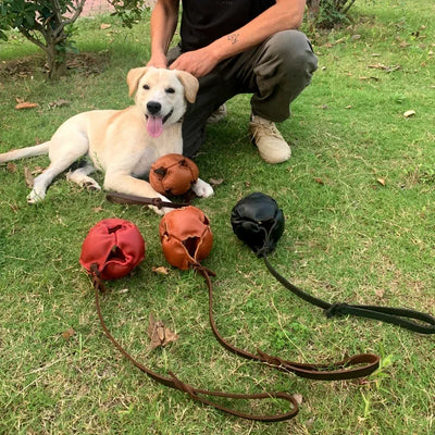 Balle d'entraînement en cuir pour chien