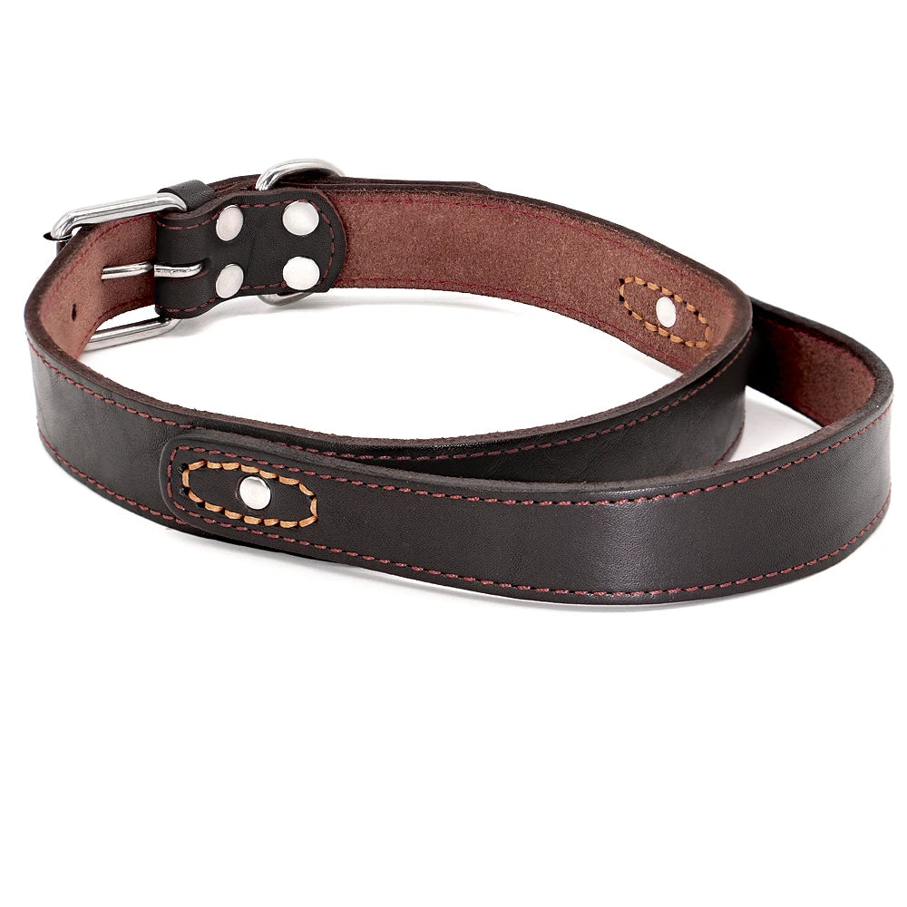 Super Control  Leather Dog Collar Durable Short Handle