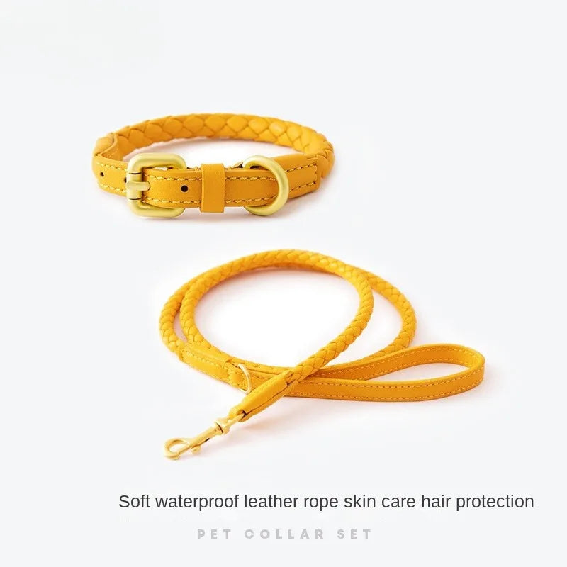 Ensemble collier et laisse pour chien en cuir de qualité supérieure, plusieurs couleurs