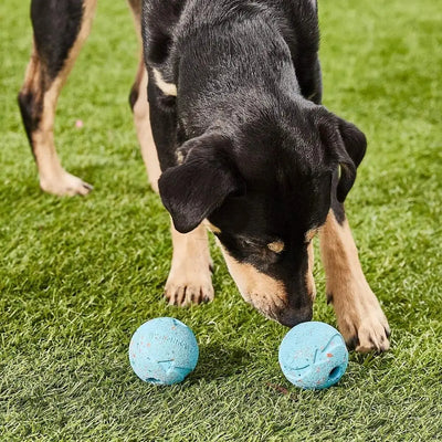 Chuck It! Fetch Medley Dog Ball Hundespielzeug, 3 Stück, Größe M