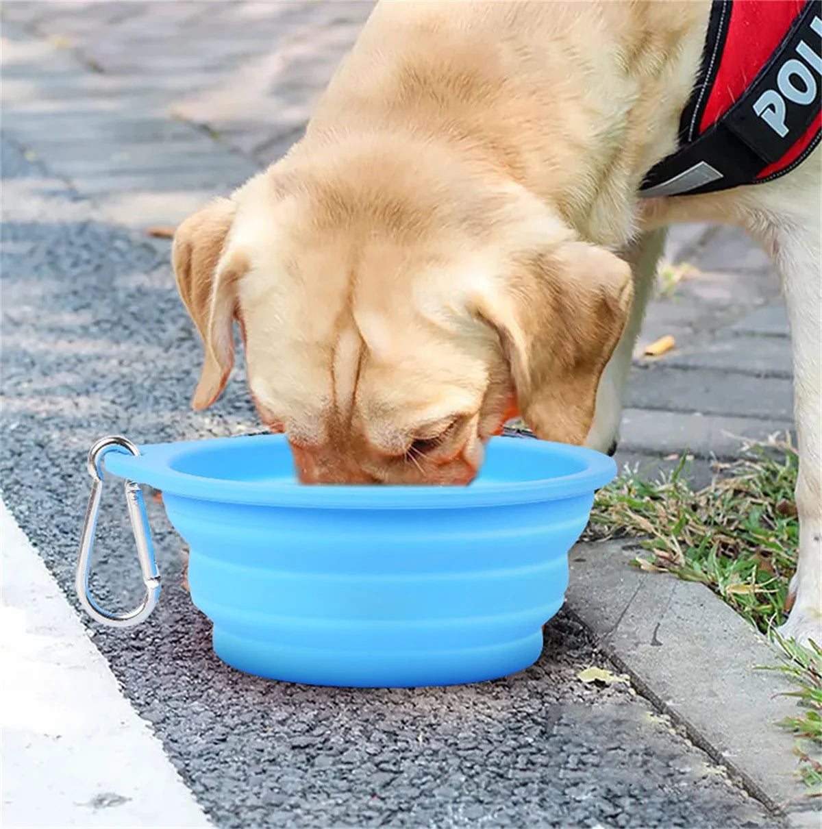 X Large Collapsible Dog Pet Folding Silicone Bowl