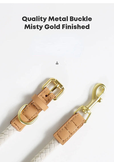 Ensemble élégant de collier et laisse pour chien en cuir tressé