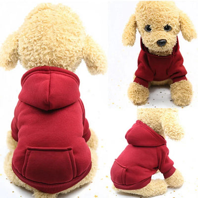 Warm Dog  Hoodies with Pockets