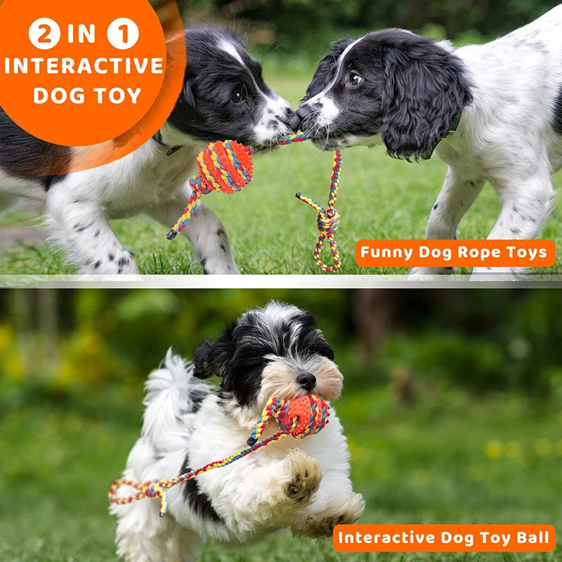 XXL Tough Dog Toys Interactive