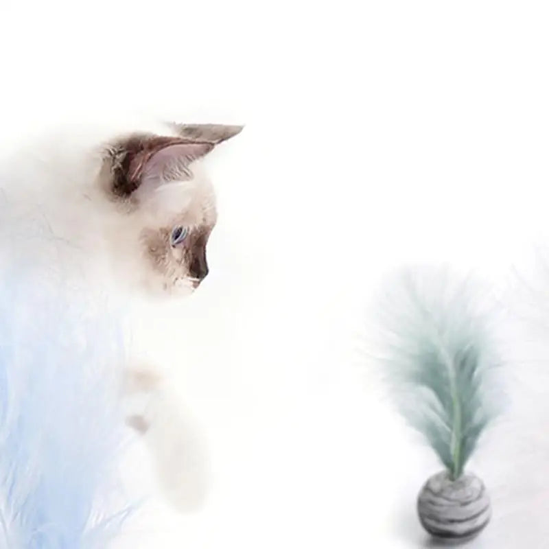 Jouet en plumes pour chat