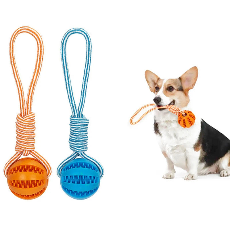 Balles de friandises pour animaux de compagnie avec corde, jouet interactif