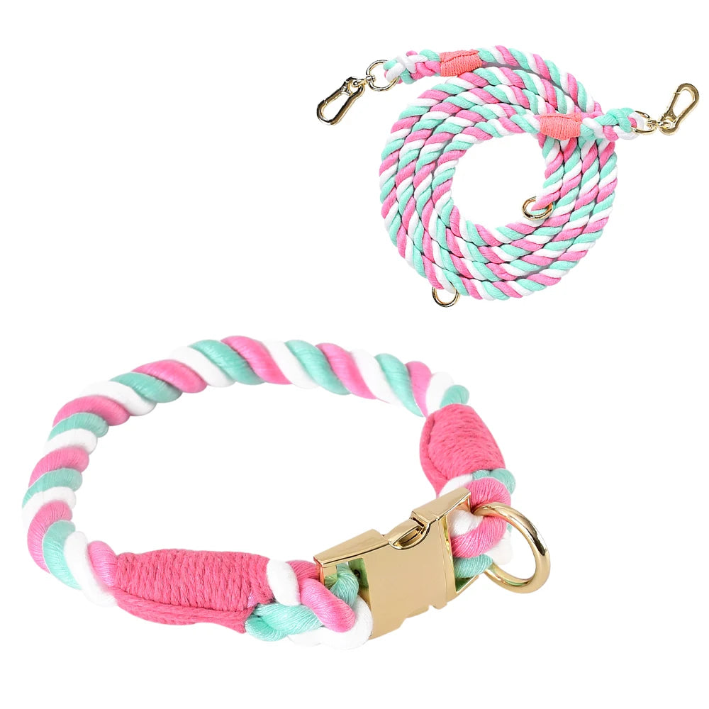 Ensemble collier et laisse pour chien Macaron