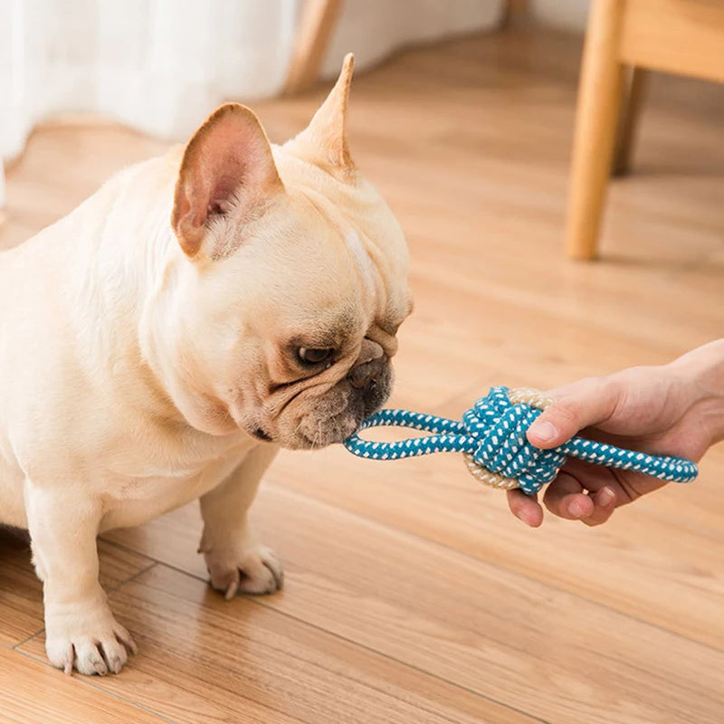 Mini-balle interactive en corde de coton pour chien