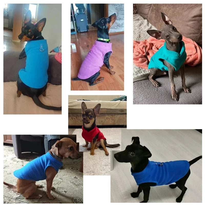 Warm Fleece Dogs Clothes Soft