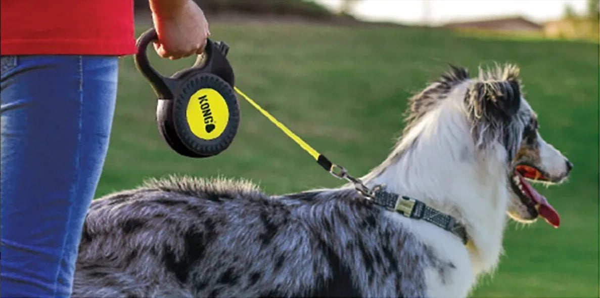 Laisse rétractable réfléchissante pour chien