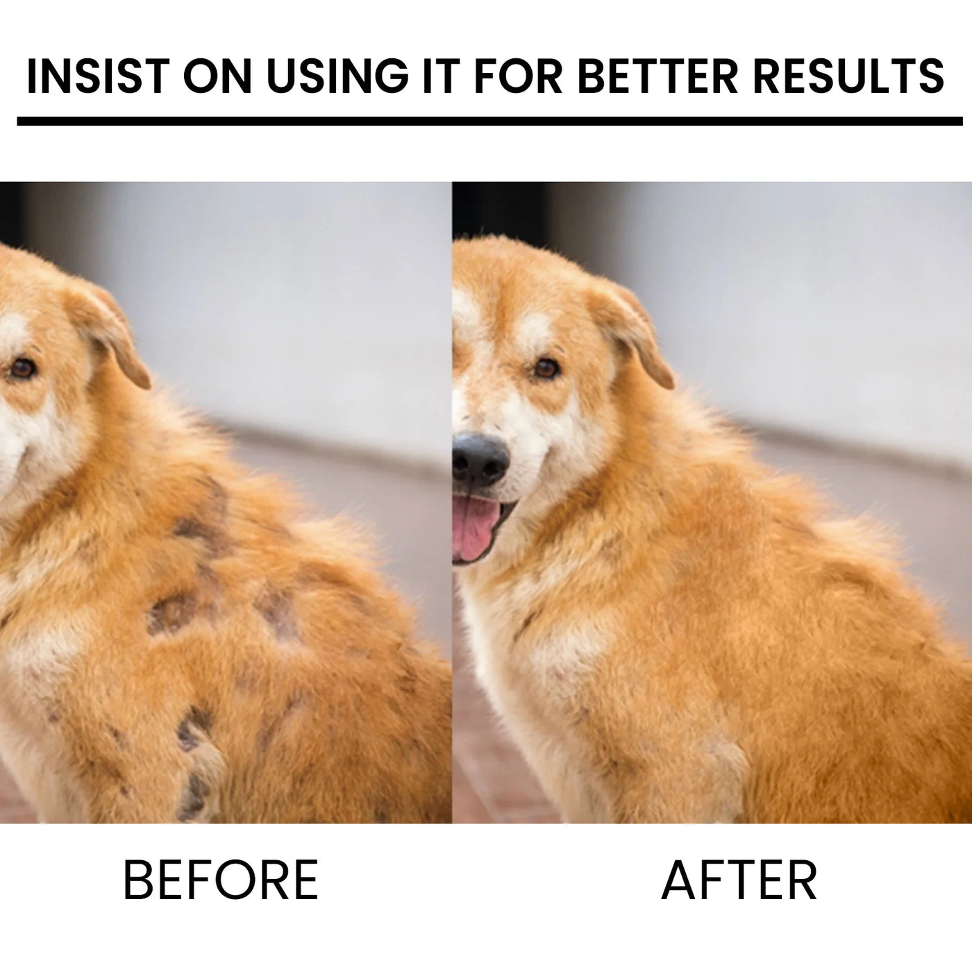 Pet Hair Regrowth Liquid Hair Loss Treatment