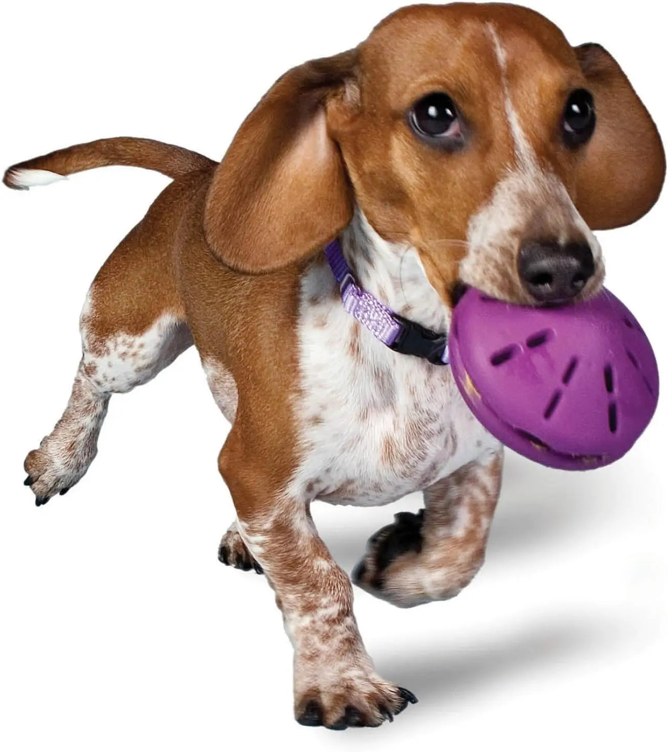 Petsafe Busy Buddy Twist 'n Treat Spender-Hundespielzeug