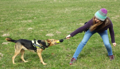 Petit sac à collations pour dressage de chien