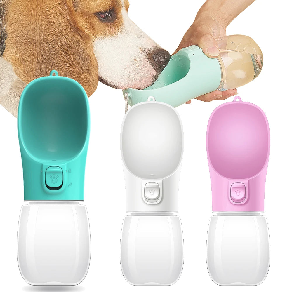 Bouteille d'eau portable pour chien