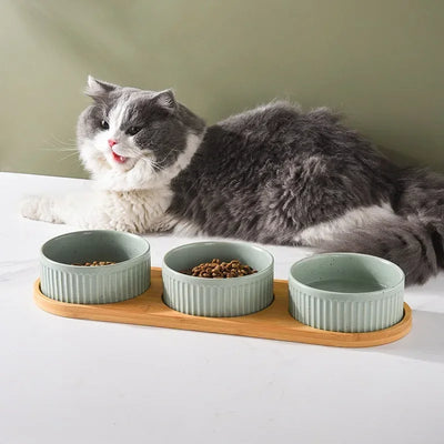 Ceramic Pet Bowls