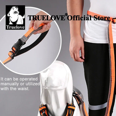 Running Bungee Leash Hands Free Dog Leash