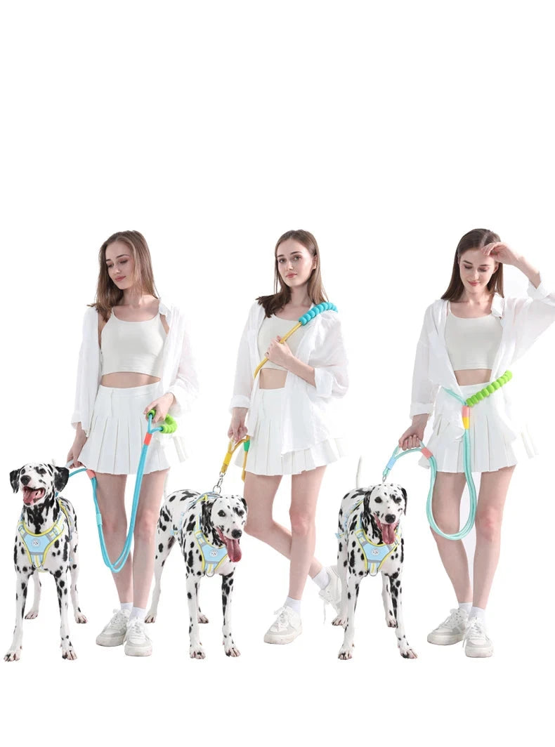 Soft Touch Explosion-Proof Leash & Collar Set