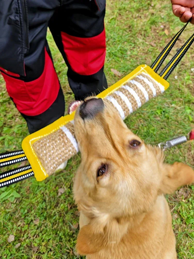 Jouets d'entraînement à mâcher pour chien Pick Up