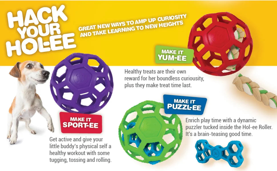 JW Hol-ee Roller Dog Fetch Treat Dispenser Puzzle Ball