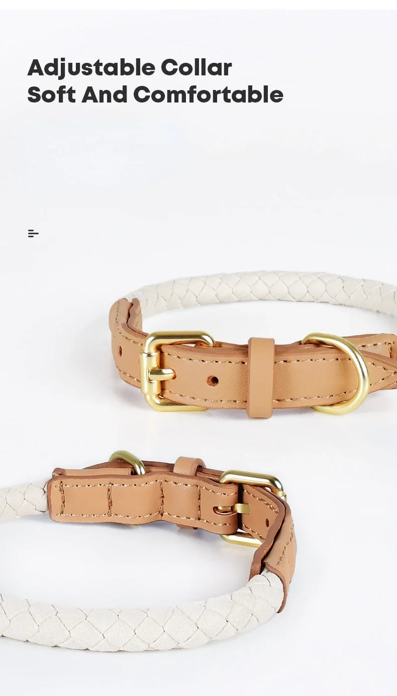 Elegant Braided Leather Dog Collar Leash Set