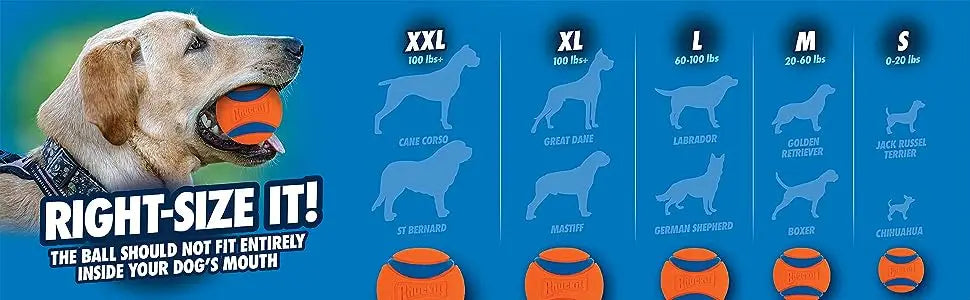 Chuckit Ultra Ball Dog Toy