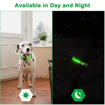 Nylon LED Glowing Dog Collar, Adjustable Flashing Luminous Collar