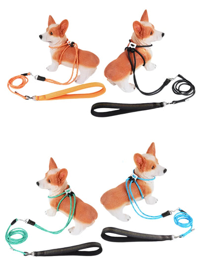 Anti-Break-Free 2in1 Dog Harness Leash