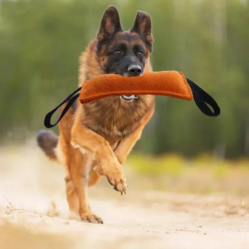 Jouet à mordre durable pour chien