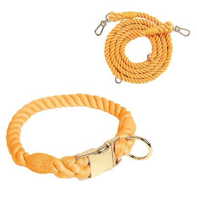 Ensemble collier et laisse pour chien Macaron