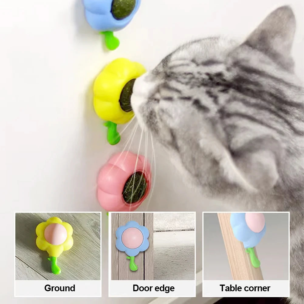 Paw Cat Paw Catnip Ball