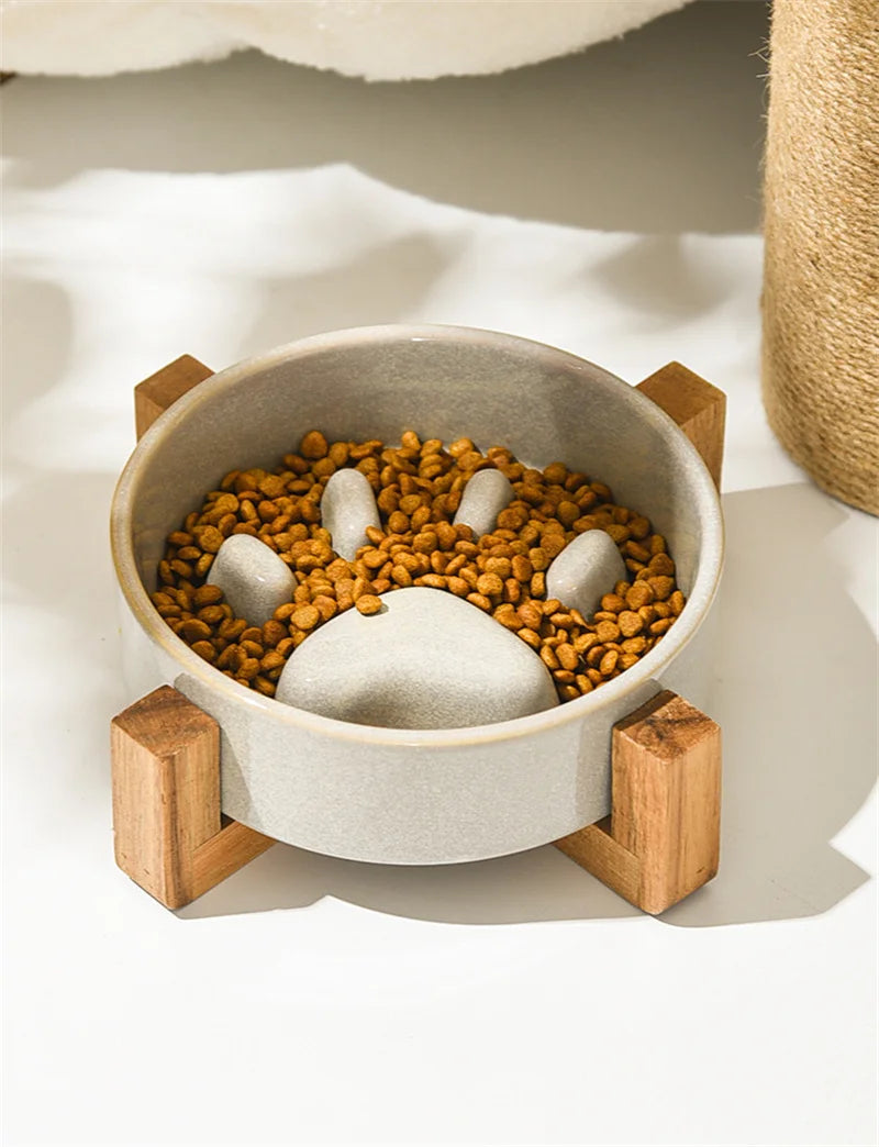 Paw Slow Food Ceramic Food Bowl for Dogs