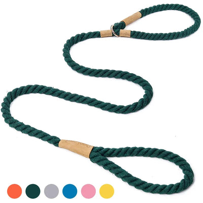 Laisse et collier pour chien de la collection Braid, une pièce