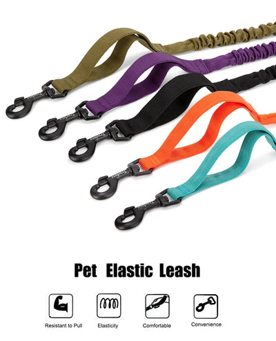 Laisse élastique Comfort Touch pour chien