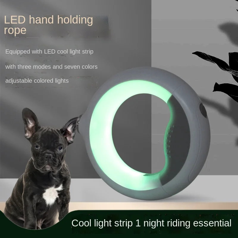 Laisse rétractable pour chien Supreme Dog Leash à LED