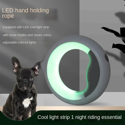 Supreme Dog Leash LED Roll-Leine für Hunde