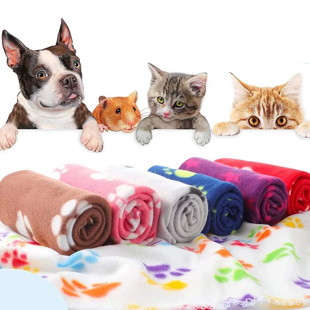 Couverture douillette pour chiot multicolore