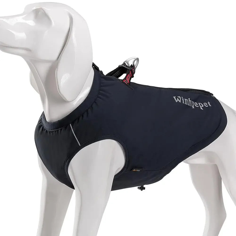 Combinaison gilet et harnais pour chien haute performance pour temps pluvieux