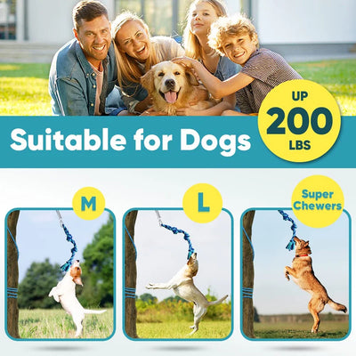 Bungee Dog Exercise Toy