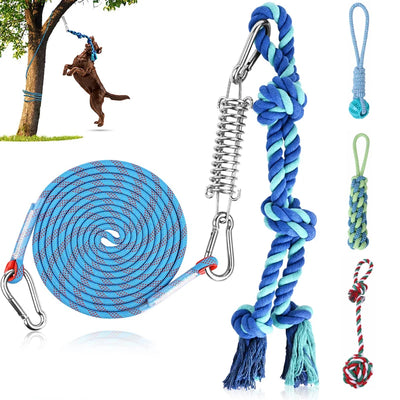 Bungee Dog Exercise Toy