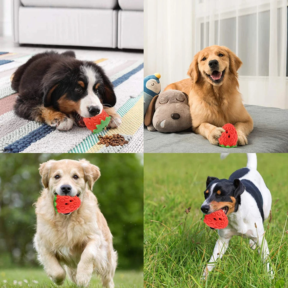 Strawberry Rubber Food Leaking Chew Toy