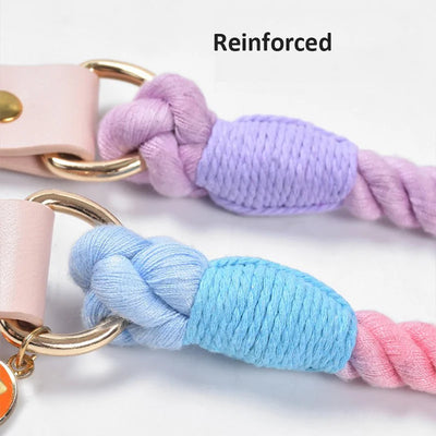 Colorful Macaron Pet Collar & Leash Set