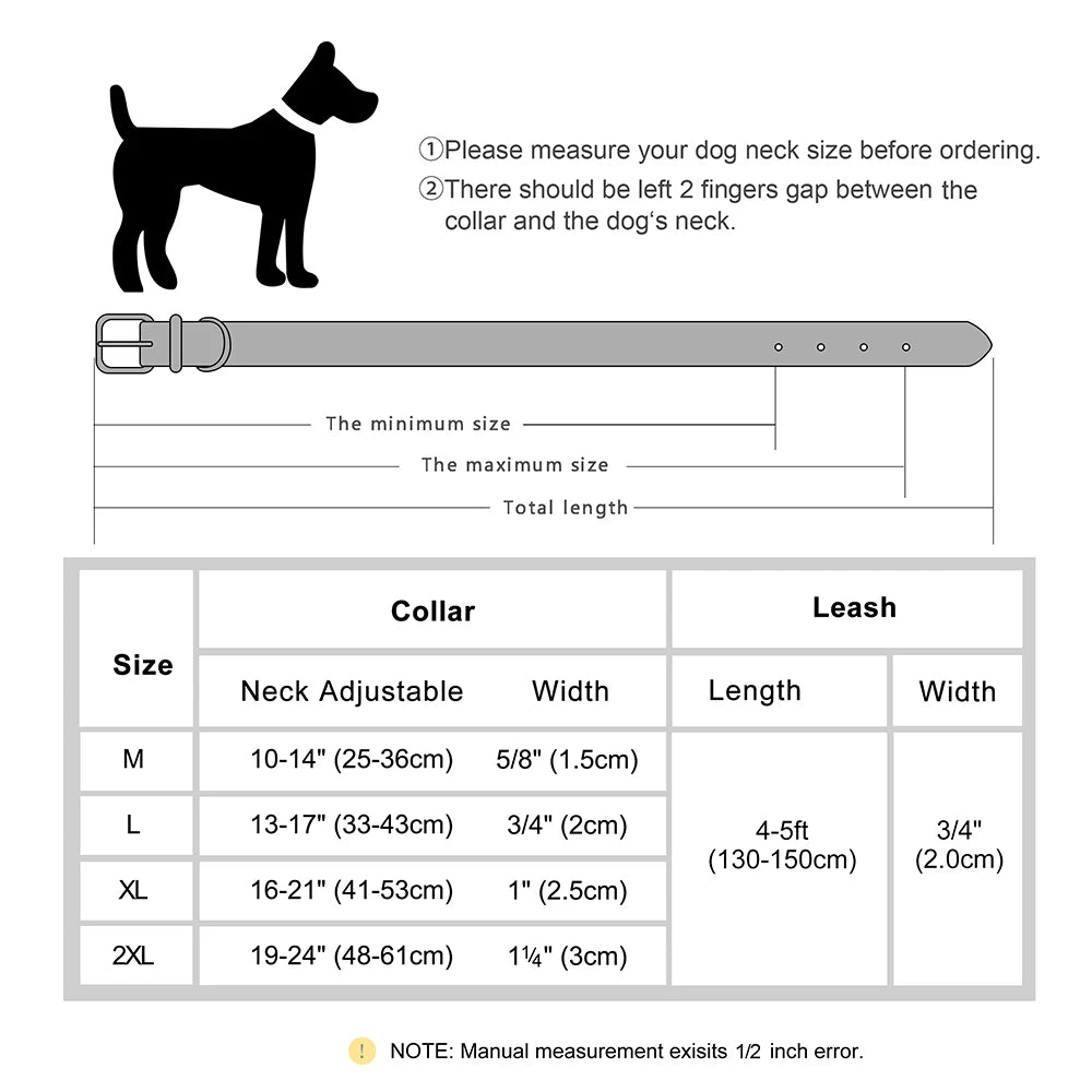 Klassisches Hundehalsband- und Leinenset aus Leder