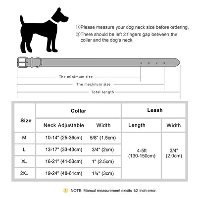 Klassisches Hundehalsband- und Leinenset aus Leder