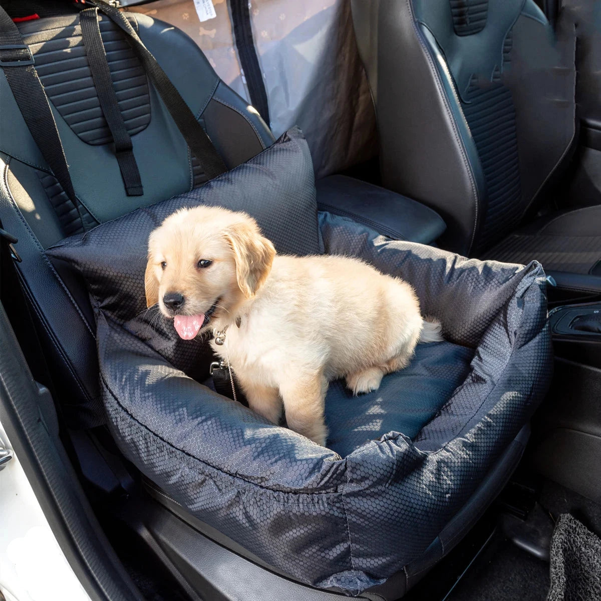 Siège auto pour chien de qualité supérieure avec housse amovible Sièges auto pour chien de voyage