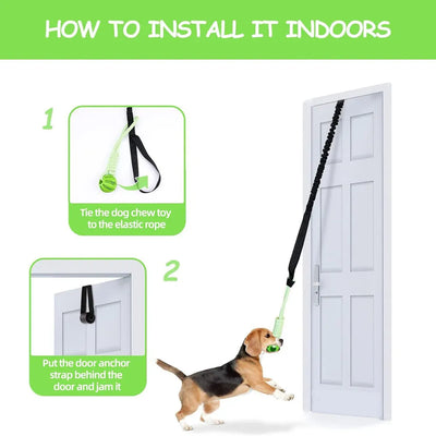 Interactive Dog Spring Rope Outdoor & Indoor Hanging